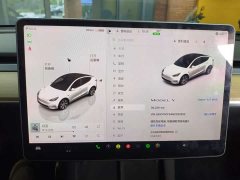 Tesla Model Y Rear-Wheel Drive - ფოტო 13