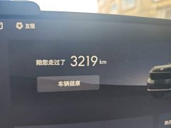 Buick Zhijing E7 1600 Ultra-Loaded Turbo Edition - ფოტო 13
