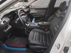 Dongfeng Versailles C5 X 2022 1.6T Unstoppable Tiger Year Special Edition - ფოტო 11