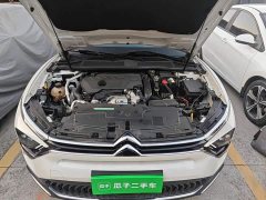 Dongfeng Versailles C5 X 2022 1.6T Unstoppable Tiger Year Special Edition - ფოტო 16