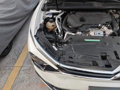 Dongfeng Versailles C5 X 2022 1.6T Unstoppable Tiger Year Special Edition - ფოტო 20