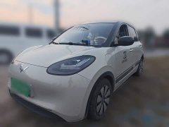 Wuling Binguo 333km Lingxi Connected Edition - ფოტო 1