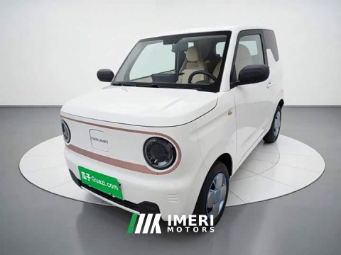 2024 Geely Panda 2023 Panda Mini 200km Endurance Edition - ავტომობილი ჩინეთიდან