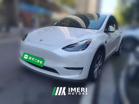 2021 Tesla Model Y Standard Range RWD - ავტომობილი ჩინეთიდან