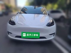 Tesla Model Y Standard Range RWD - ფოტო 2