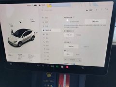 Tesla Model Y Standard Range RWD - ფოტო 20