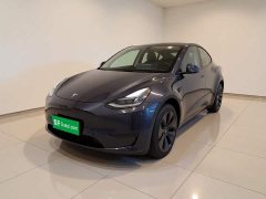 Tesla Model Y Rear-Wheel Drive - ფოტო 1
