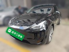 Tesla Model Y Rear-Wheel Drive - ფოტო 1
