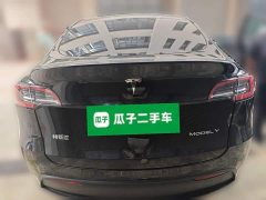 Tesla Model Y Rear-Wheel Drive - ფოტო 3