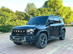 Jetour Jietu Traveler 2023 2.0T AWD Traverse PRO - ფოტო 1
