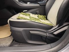 BYD Destroyer 05 Champion Edition DM-i 55KM Luxury - ფოტო 10