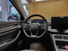 BYD Destroyer 05 Champion Edition DM-i 55KM Luxury - ფოტო 14