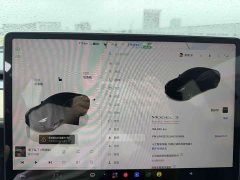 Tesla Model 3 Performance All-Wheel Drive - ფოტო 13