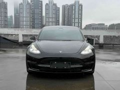 Tesla Model 3 Performance All-Wheel Drive - ფოტო 2