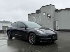 Tesla Model 3 Performance All-Wheel Drive - ფოტო 3