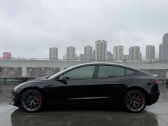 Tesla Model 3 Performance All-Wheel Drive - ფოტო 7