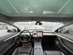 Tesla Model 3 Performance All-Wheel Drive - ფოტო 9