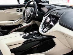 Aston Martin DBX 3.0T Inline-Six - ფოტო 13