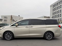 Buick GL8 ES Land Respect 653T Luxury - ფოტო 13