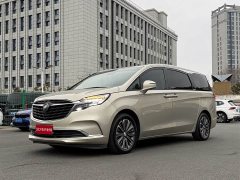 Buick GL8 ES Land Respect 653T Luxury - ფოტო 3
