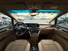 Buick GL8 ES Land Respect 653T Luxury - ფოტო 4
