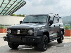 Tank 300 Off-Road Edition 2.0T Conqueror - ფოტო 1