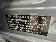 Tank 300 Off-Road Edition 2.0T Conqueror - ფოტო 18