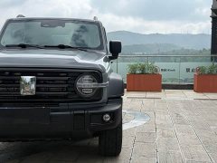 Tank 300 Off-Road Edition 2.0T Conqueror - ფოტო 4