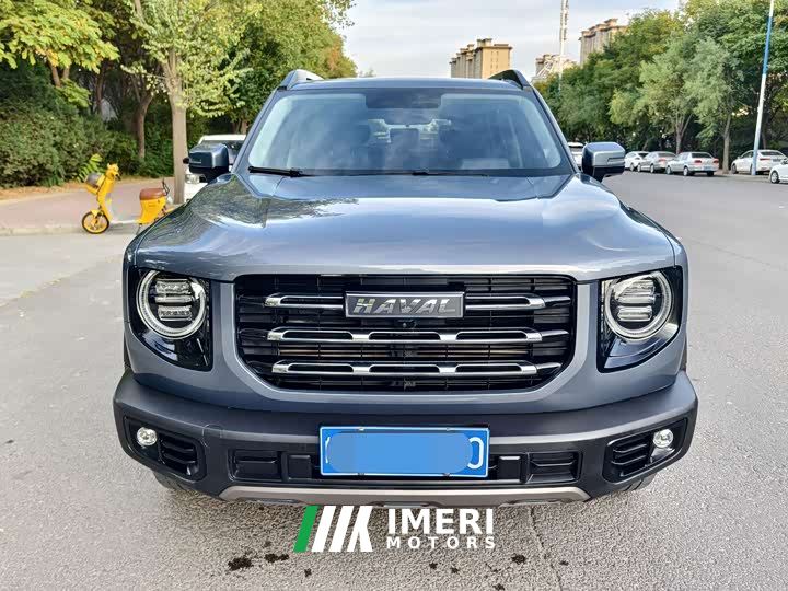 Great Wall Dachshund 1.5T DCT Two-Wheel Drive Labrador Edition