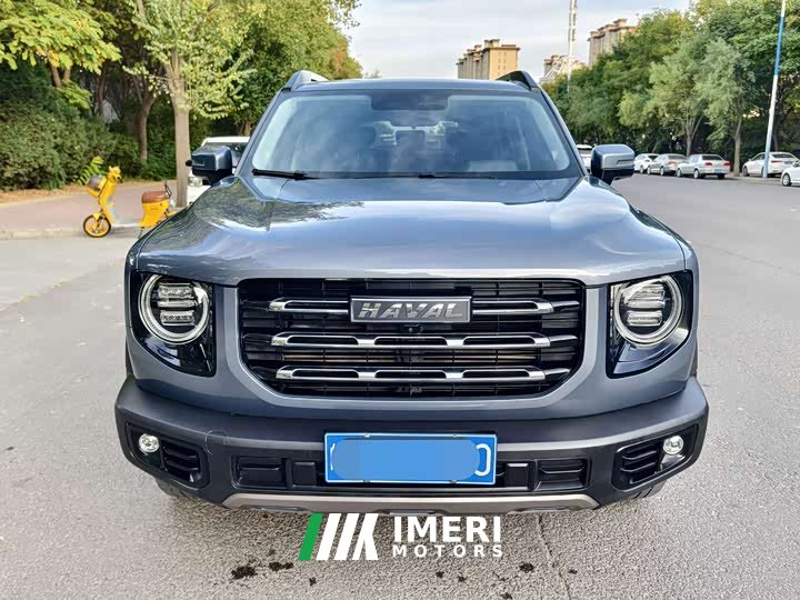 Great Wall Dachshund 1.5T DCT Two-Wheel Drive Labrador Edition - ავტომობილი ჩინეთიდან