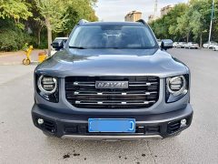 Great Wall Dachshund 1.5T DCT Two-Wheel Drive Labrador Edition - ფოტო 1