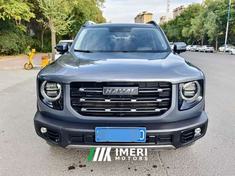 2021 Great Wall Dachshund 1.5T DCT Two-Wheel Drive Labrador Edition