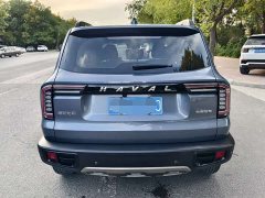 Great Wall Dachshund 1.5T DCT Two-Wheel Drive Labrador Edition - ფოტო 4