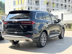 Ford Lingyù EcoBoost 225 Platinum Leading Edition 7-seater - ფოტო 4