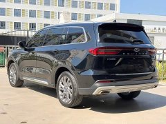 Ford Lingyù EcoBoost 225 Platinum Leading Edition 7-seater - ფოტო 6