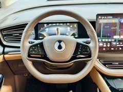 Denza D9 2022 DM-i 970 AWD Flagship - ფოტო 10
