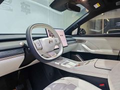 Nio Lerado L60 2024 60kWh Rear-Wheel Drive - ფოტო 4