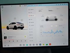 Nio Lerado L60 2024 60kWh Rear-Wheel Drive - ფოტო 9