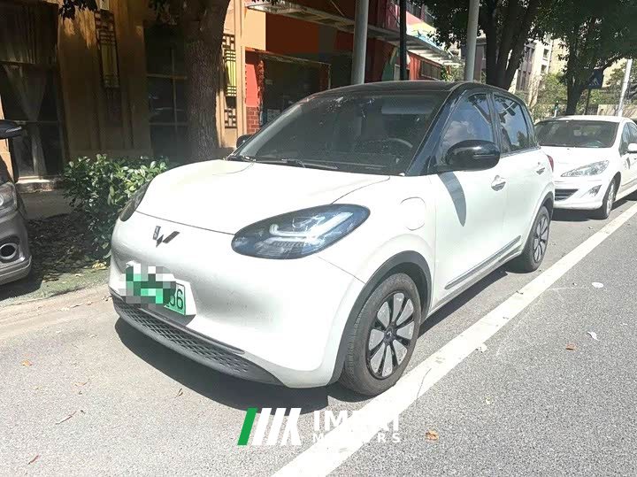 Wuling Binguo 333km Lingxi Connected Edition