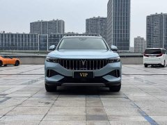 Voyah FREE 2021 4WD EREV First Edition Exclusive Luxury Package - ფოტო 2