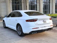 Geely Xingrui 1.5T Diesel Fuyao Edition - ფოტო 11
