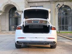 Geely Xingrui 1.5T Diesel Fuyao Edition - ფოტო 13