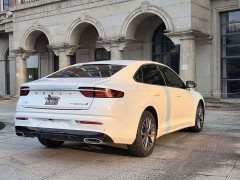Geely Xingrui 1.5T Diesel Fuyao Edition - ფოტო 14