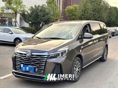 2023 Buick GL8 Land Executive Cabin 652T Luxury