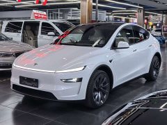Tesla Model Y Long Range All-Wheel Drive - ფოტო 1