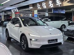 Tesla Model Y Long Range All-Wheel Drive - ფოტო 3