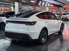 Tesla Model Y Long Range All-Wheel Drive - ფოტო 4