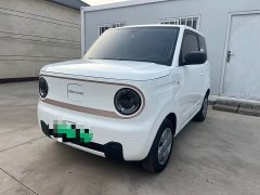 Geely Panda Mini 200km Endurance Edition - ფოტო 1