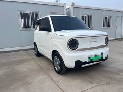 Geely Panda Mini 200km Endurance Edition - ფოტო 3