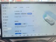 BYD Dolphin 07 DM-i 2026 DM-i 1.5T 230km Flagship - ფოტო 13